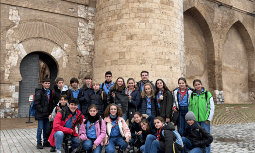 Visita de la tropa a la Aljafería